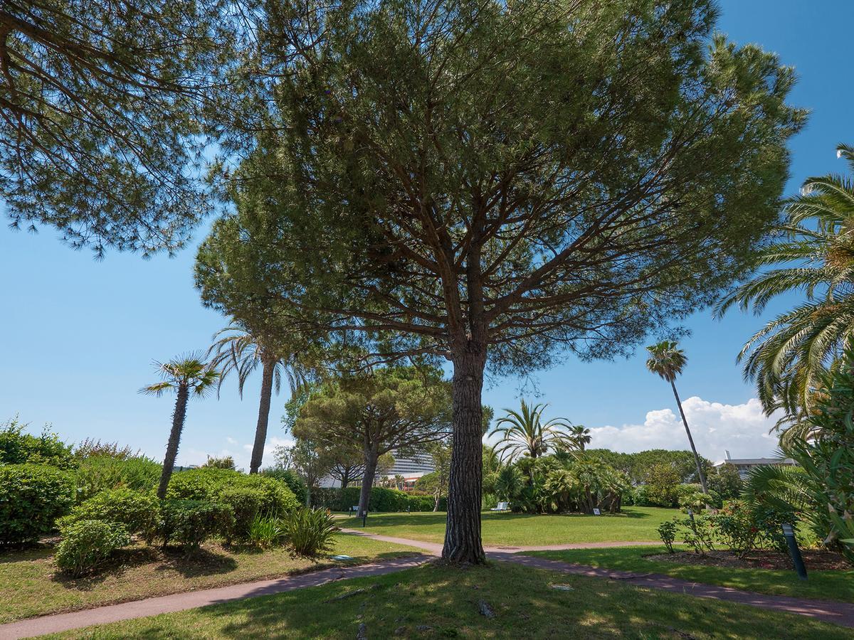 Hotel Bahia Villeneuve-Loubet Dış mekan fotoğraf