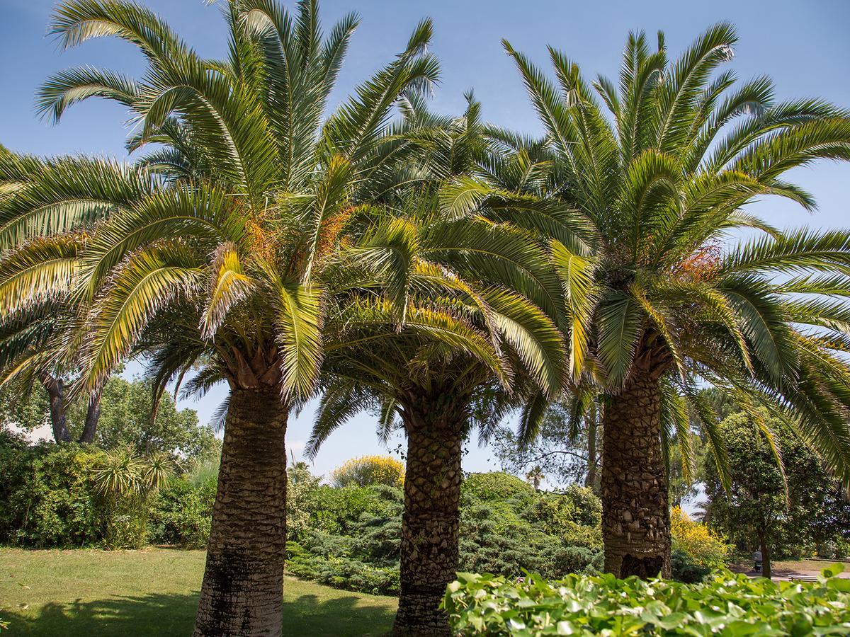 Hotel Bahia Villeneuve-Loubet Dış mekan fotoğraf