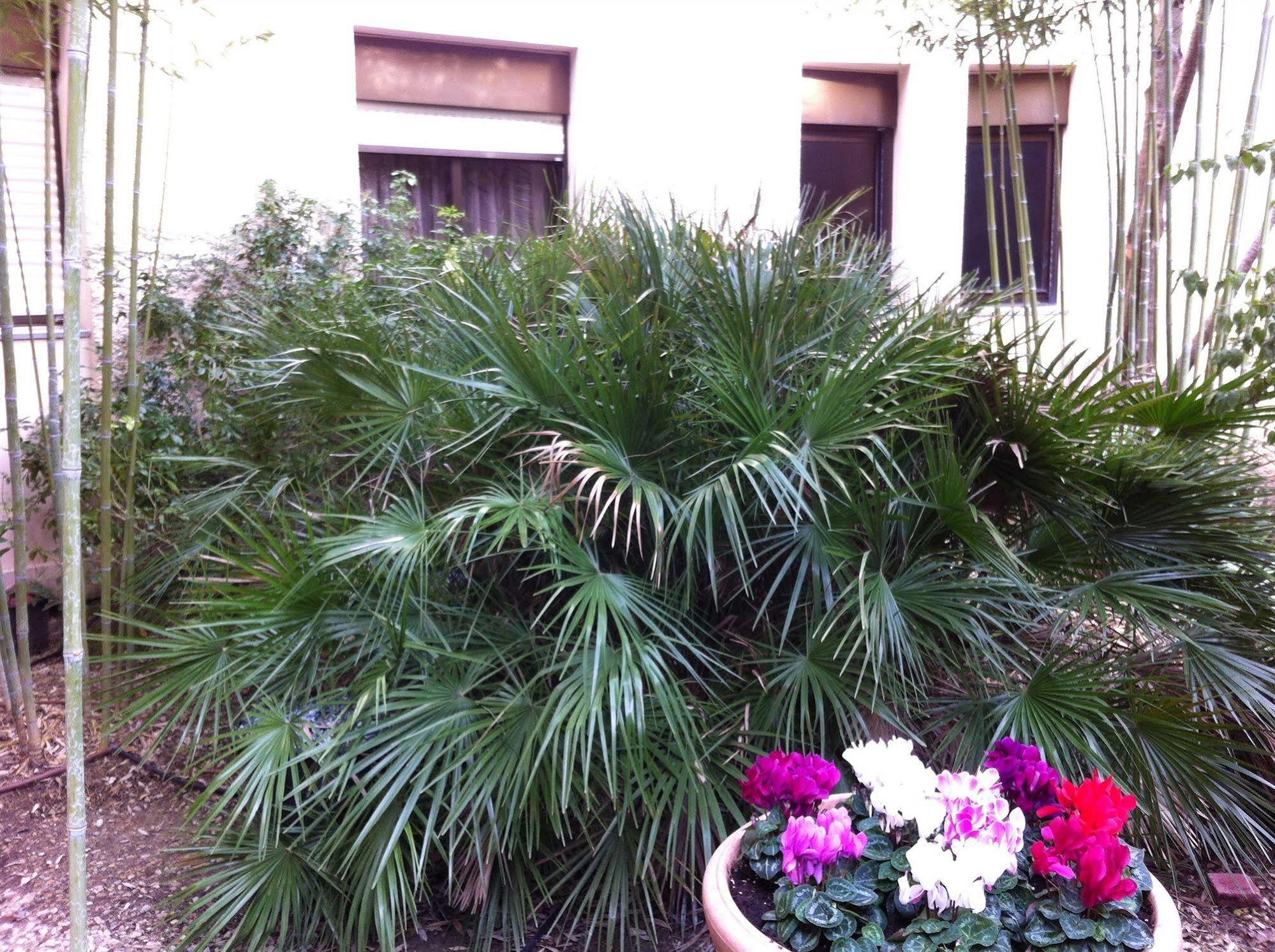 Hotel Bahia Villeneuve-Loubet Dış mekan fotoğraf